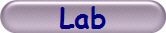 Lab